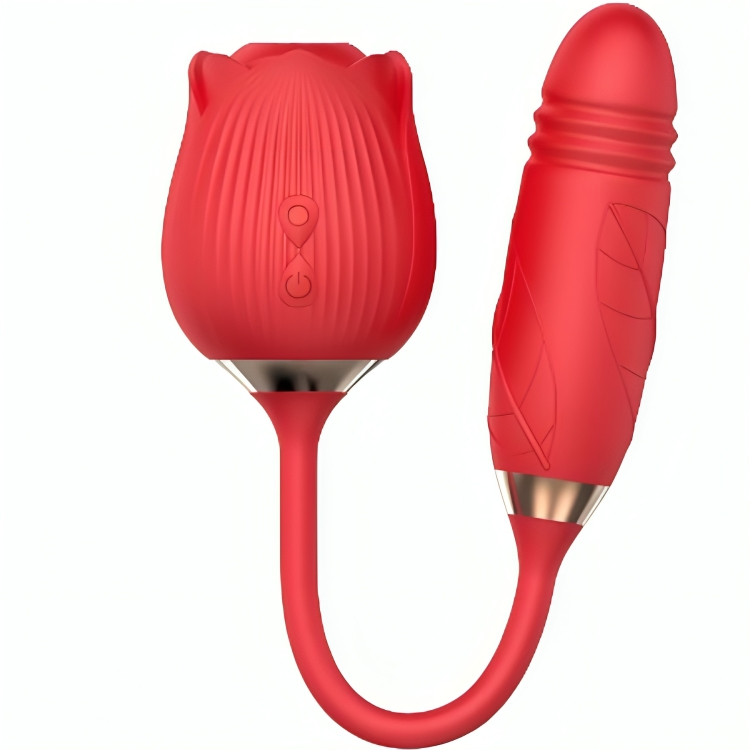 ARMONY - DELIGHT BLUME SAUGEN & STOSSEN ROT